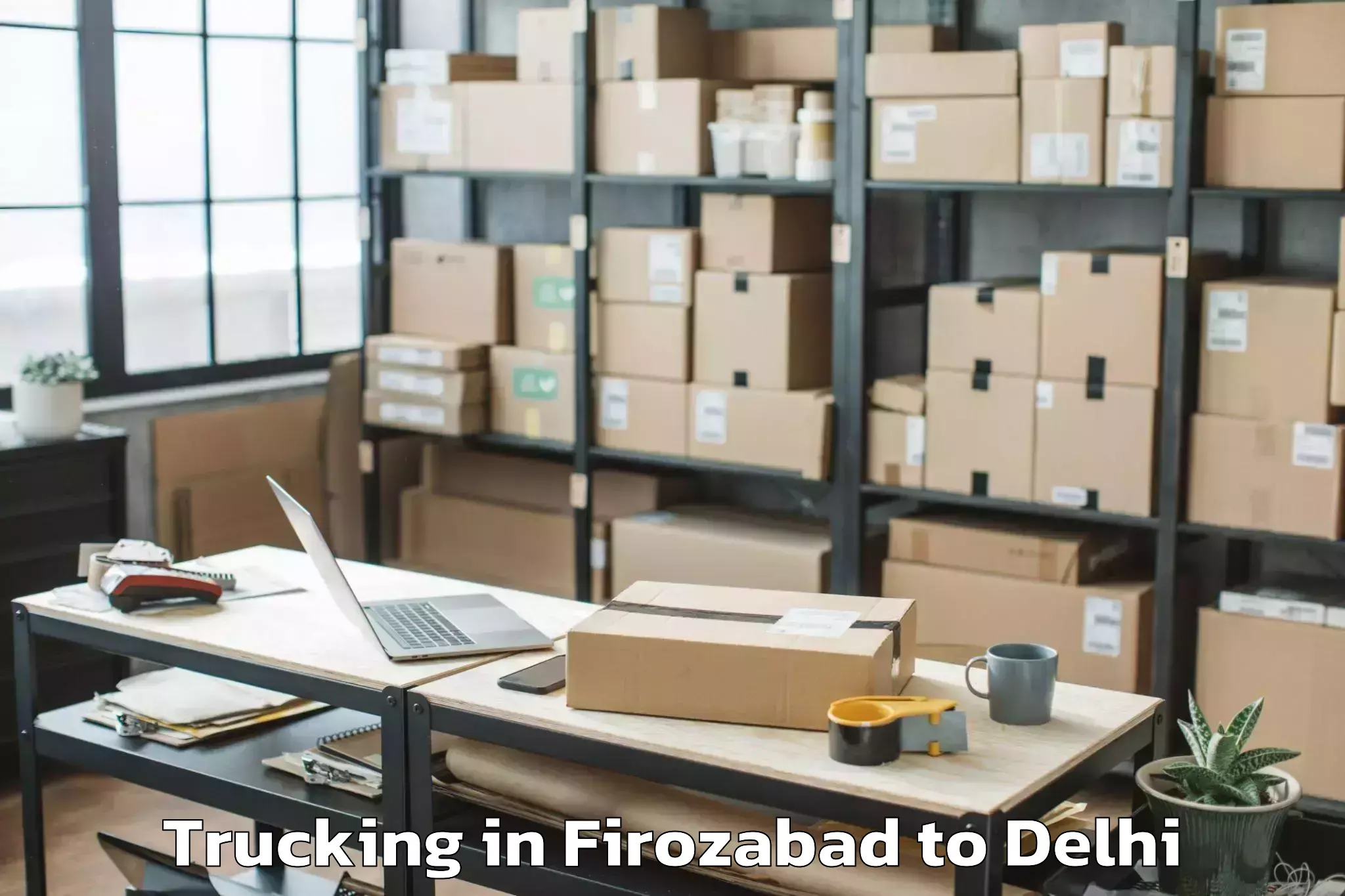 Leading Firozabad to Unity One Mall Cbd Shahdara Trucking Provider